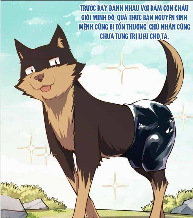 Nguyên Lai Ta Là Tu Tiên Đại Lão - Chương 474 - ảnh 45