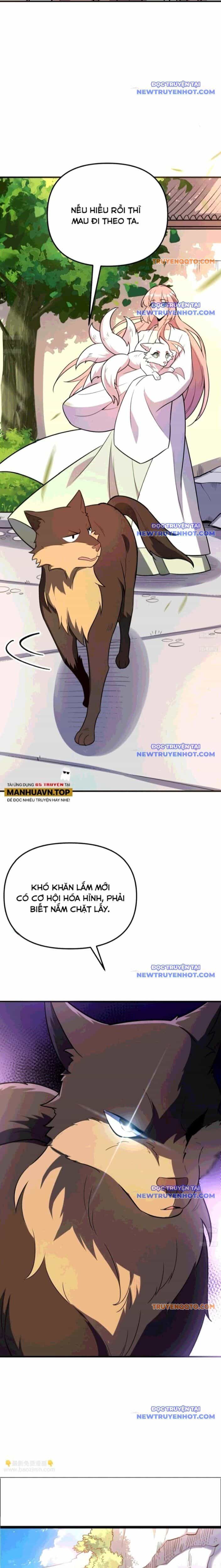Nguyên Lai Ta Là Tu Tiên Đại Lão - Chương 542 - ảnh 2