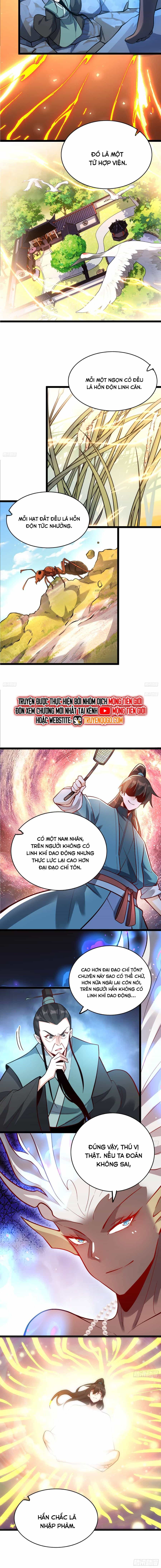 Nguyên Lai Ta Là Tu Tiên Đại Lão - Chương 563 - ảnh 4