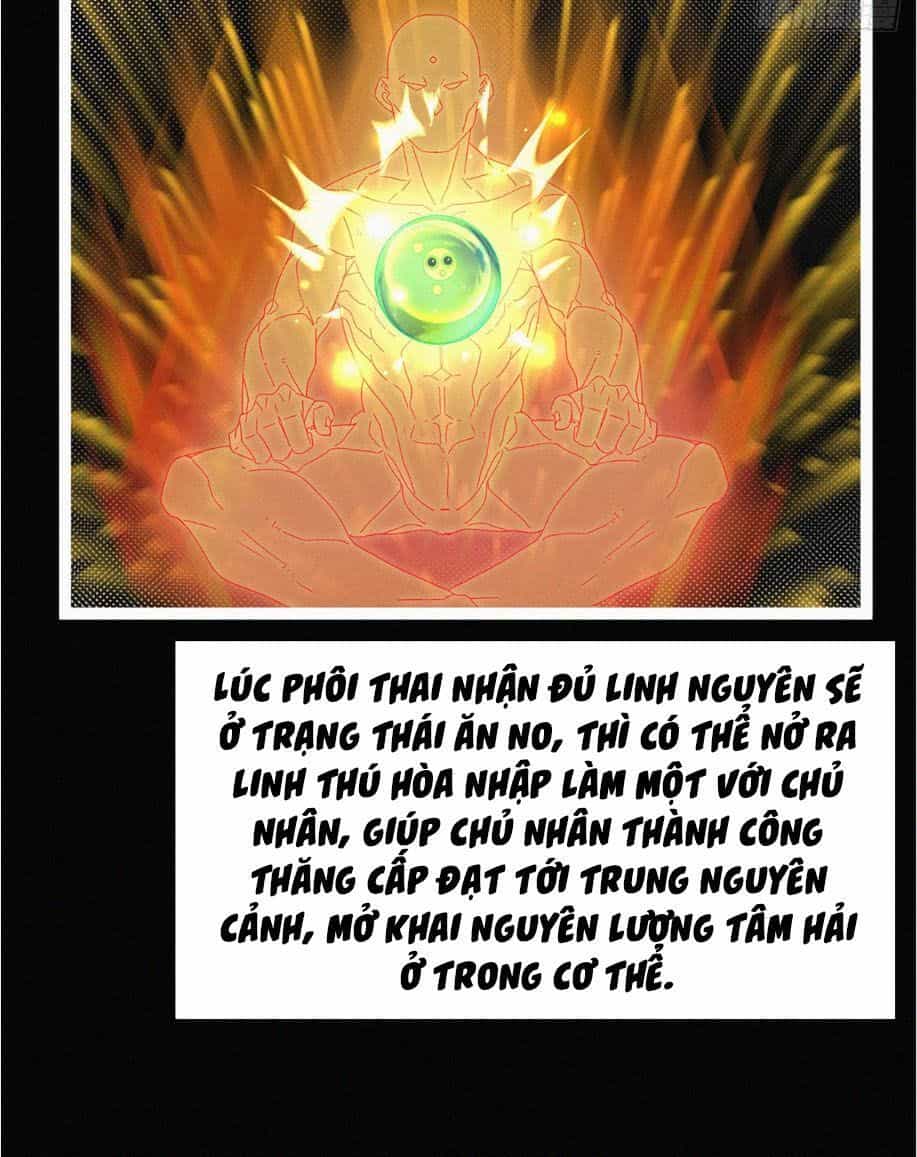 Nguyên Linh Chúa Tể - Chương 8 - ảnh 27