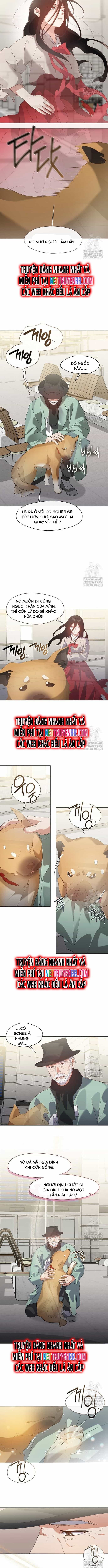 Nhà Hàng Thế Giới Ngầm - Chương 76 - ảnh 4