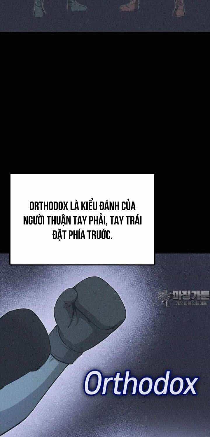 Nhà Vô Địch Kalli - Chương 81 - ảnh 4