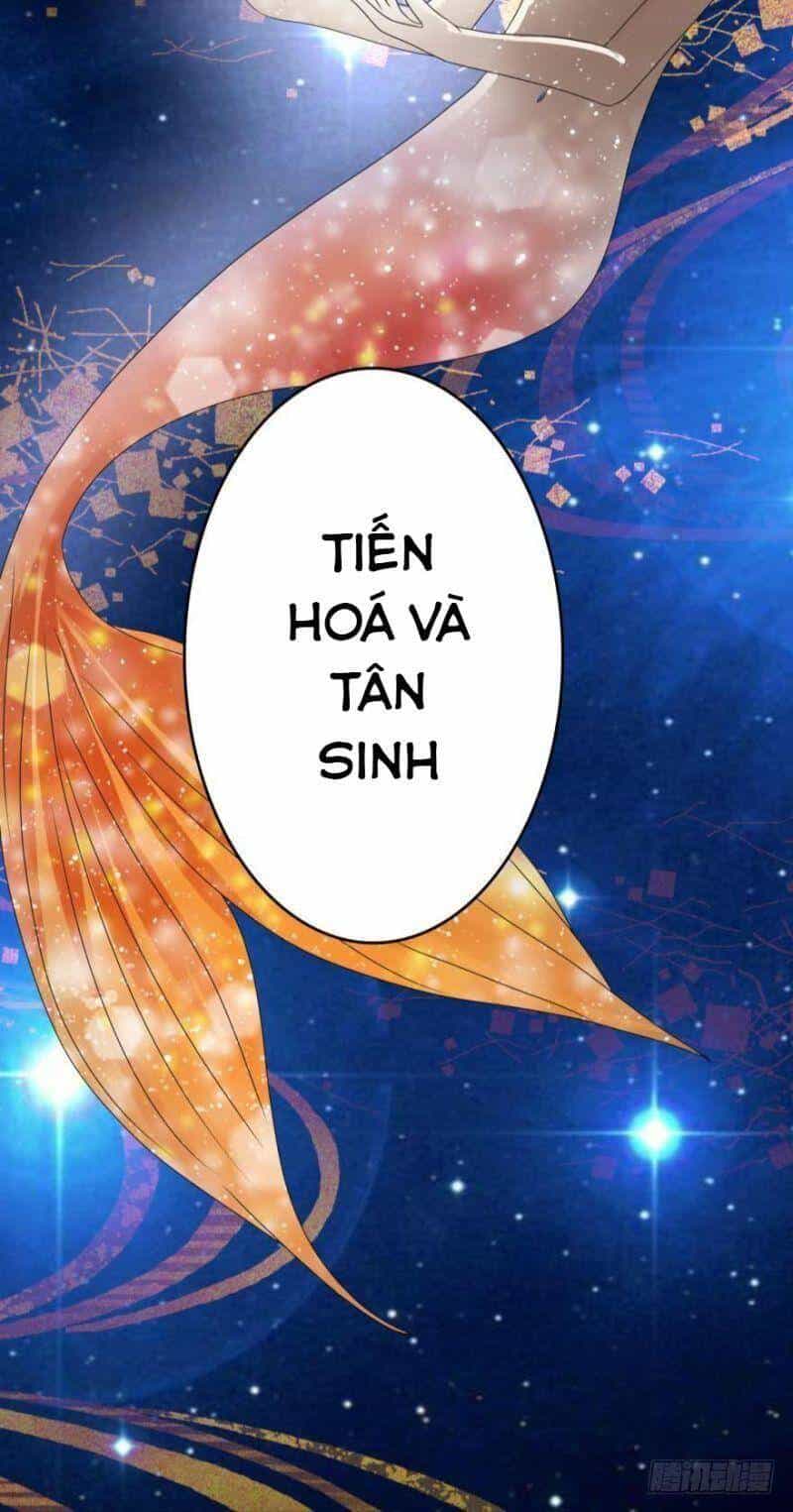 Nhân Ngư Học Trưởng, Đừng Ôm Ta! - Chương 51 - ảnh 28
