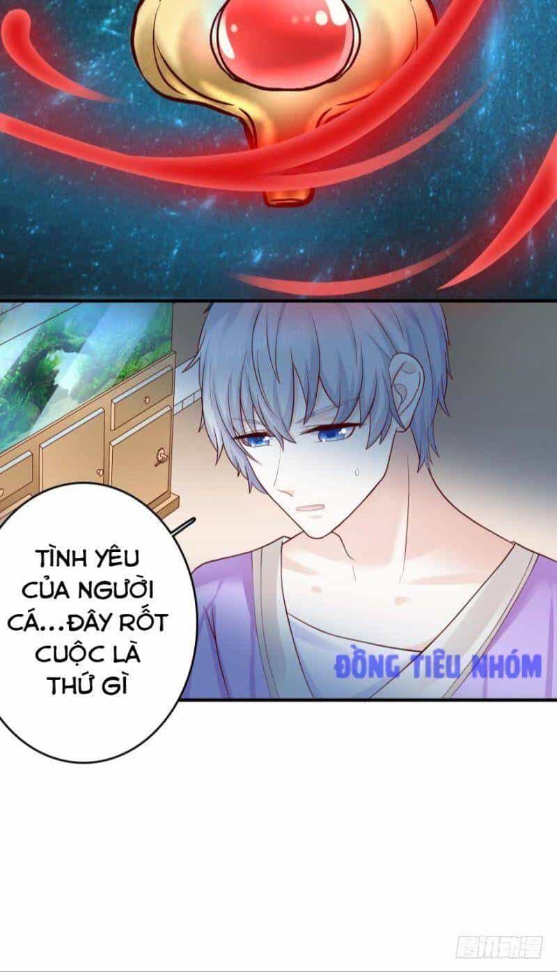 Nhân Ngư Học Trưởng, Đừng Ôm Ta! - Chương 52 - ảnh 15