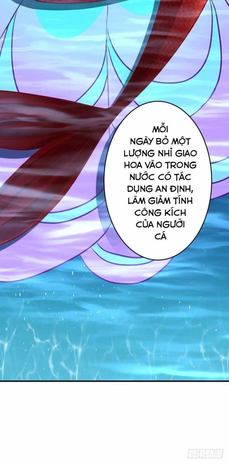 Nhân Ngư Học Trưởng, Đừng Ôm Ta! - Chương 58 - ảnh 33
