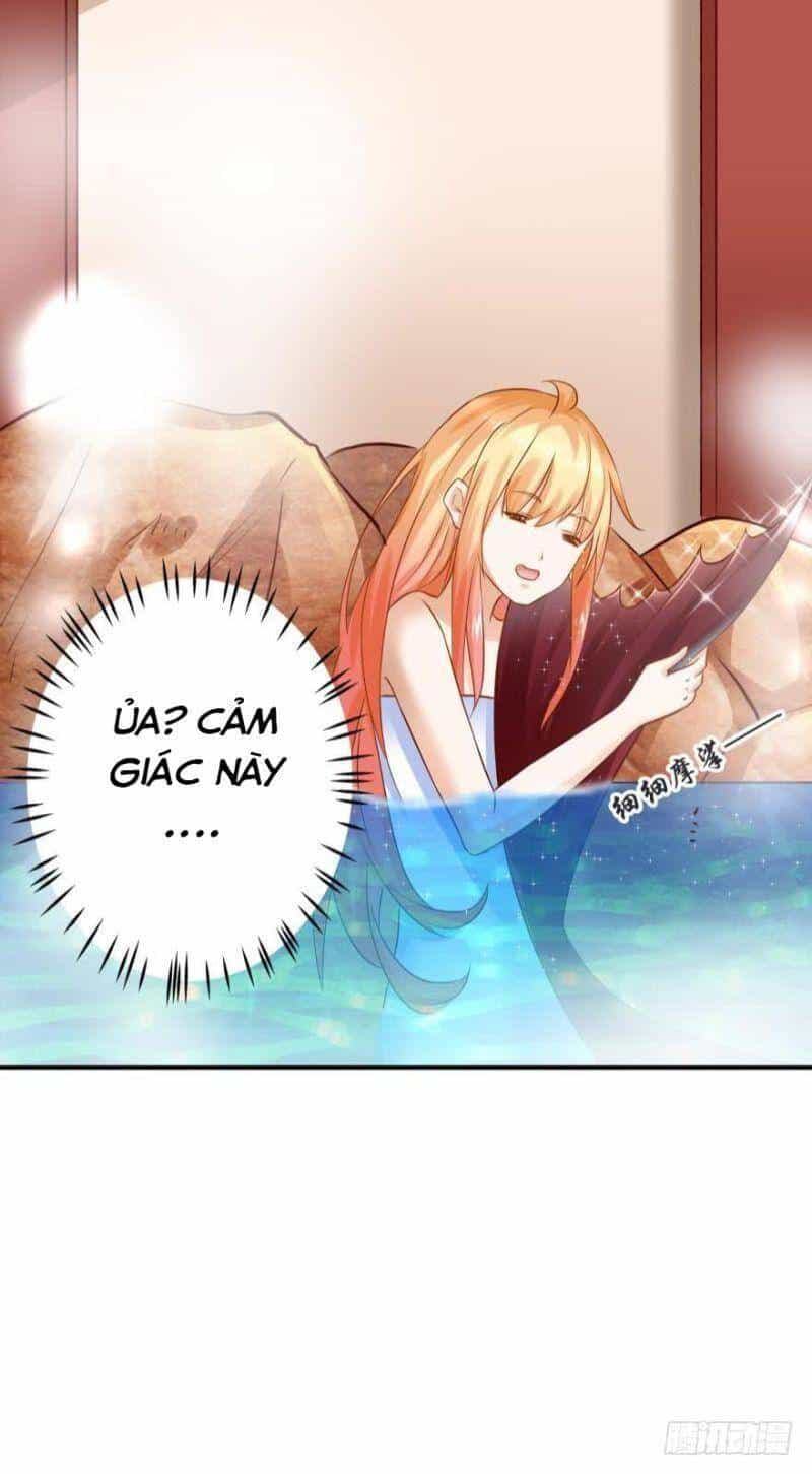 Nhân Ngư Học Trưởng, Đừng Ôm Ta! - Chương 59 - ảnh 28
