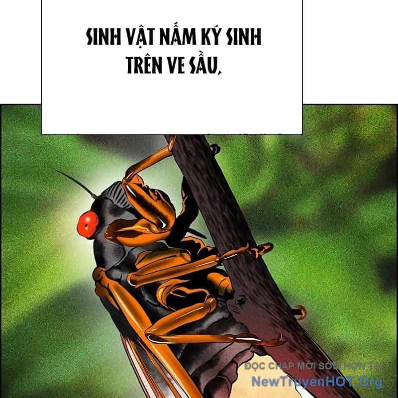 Nhân Trùng Đại Chiến - Chương 169 - ảnh 93