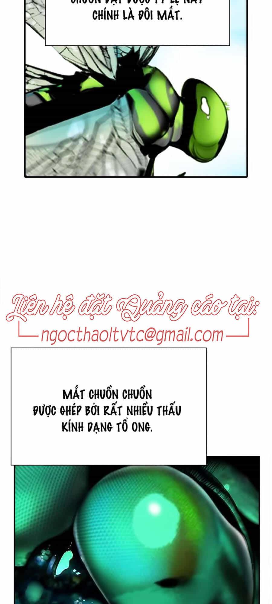 Nhân Trùng Đại Chiến - Chương 4 - ảnh 99