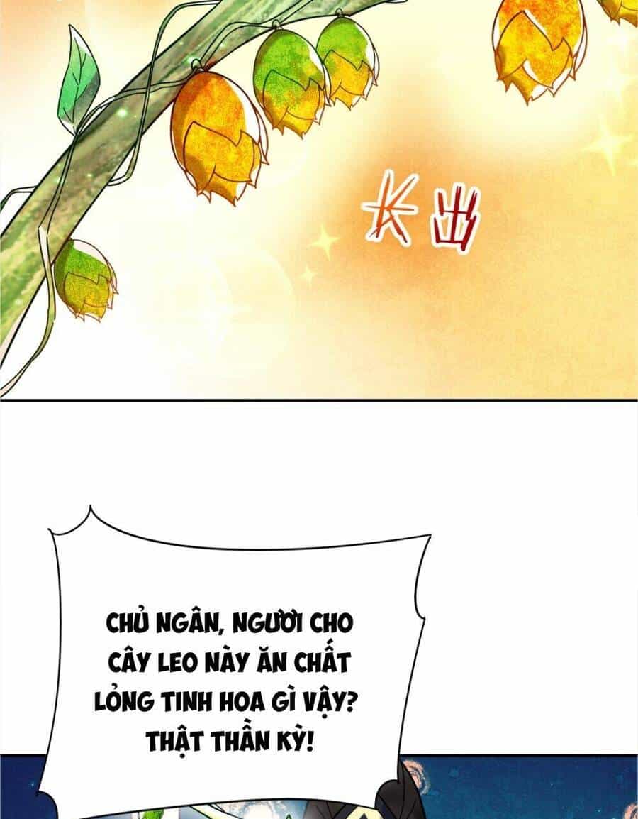 Nhân Vật Phản Diện Này Có Chút Lương Tâm, Nhưng Không Nhiều! - Chương 229 - ảnh 19