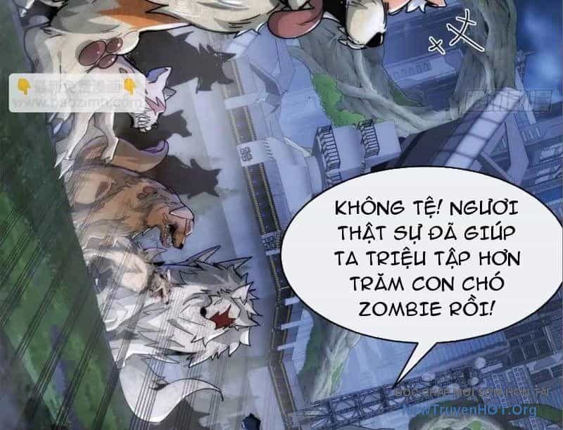 Nhân Vật Phản Diện Trong Trò Chơi Tận Thế Quật Khởi - Chương 12 - ảnh 174