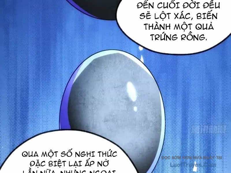 Nhân Vật Phản Diện Trong Trò Chơi Tận Thế Quật Khởi - Chương 46 - ảnh 131