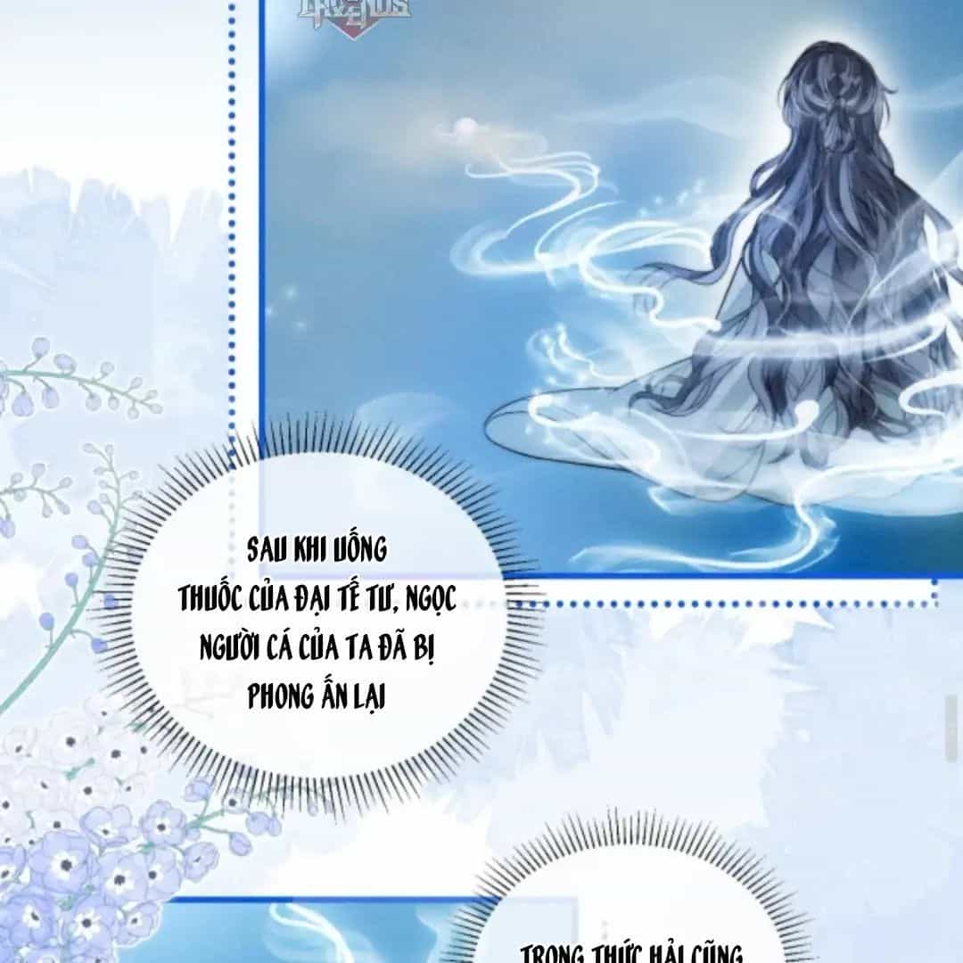 Nhập Hải - Chương 10 - ảnh 13