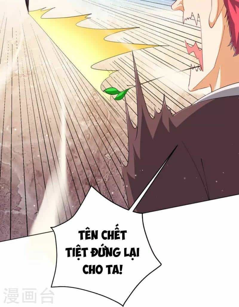 Nhất Đẳng Gia Đinh - Chương 297 - ảnh 15