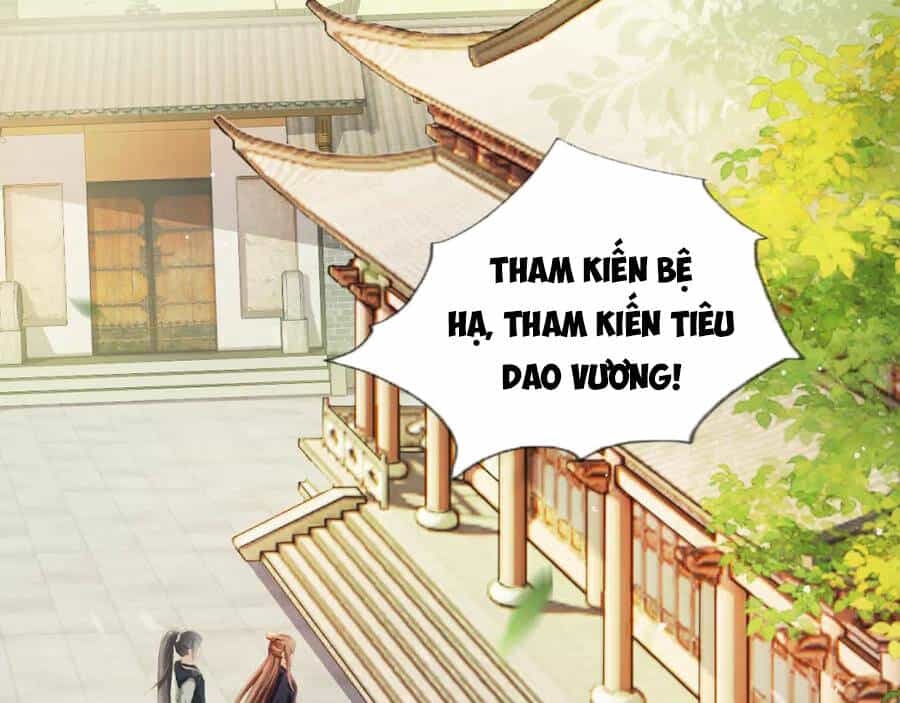 Nhặt Được Bảo Bối Manh Manh - Chương 4 - ảnh 36