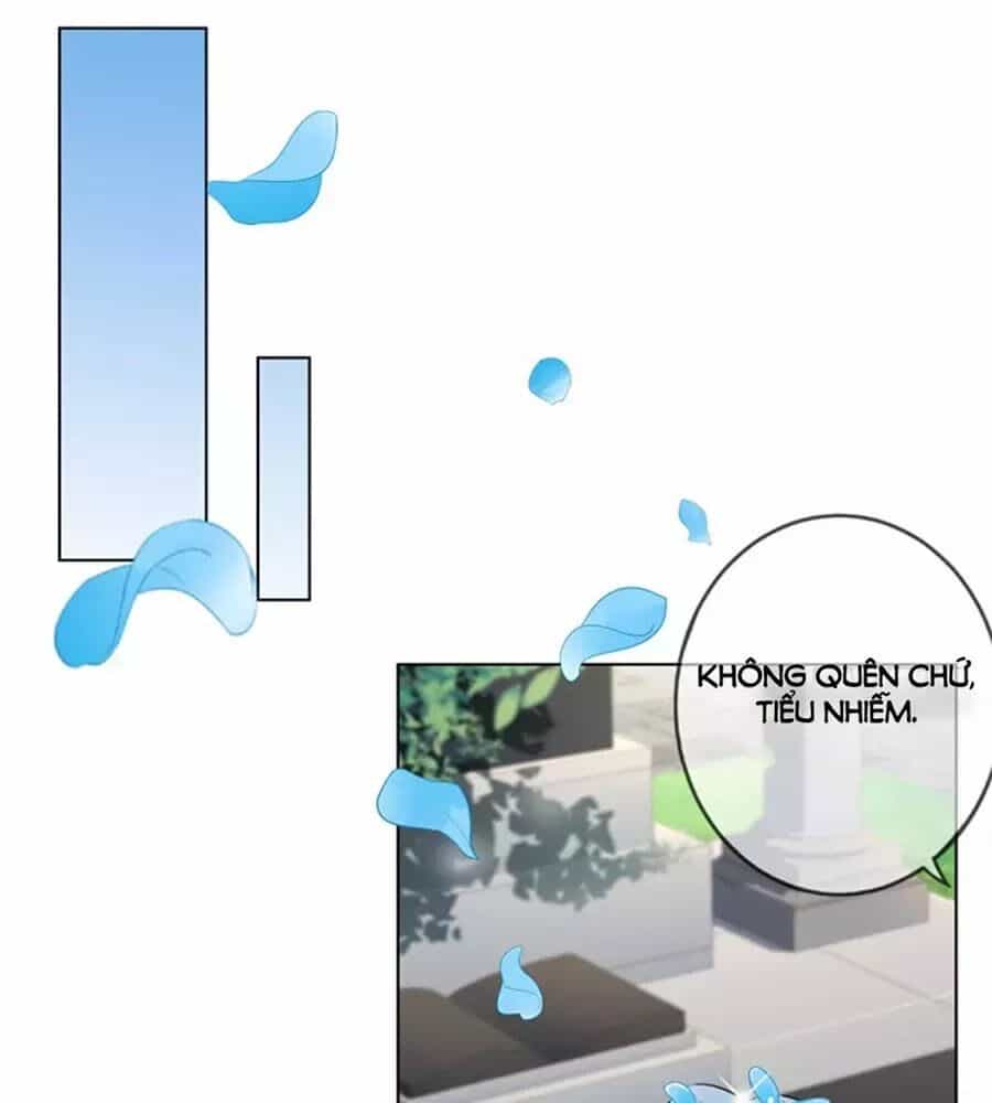 Nhật Ký Dạy Dỗ Của Gia Tộc Đáng Yêu - Chương 71 - ảnh 40