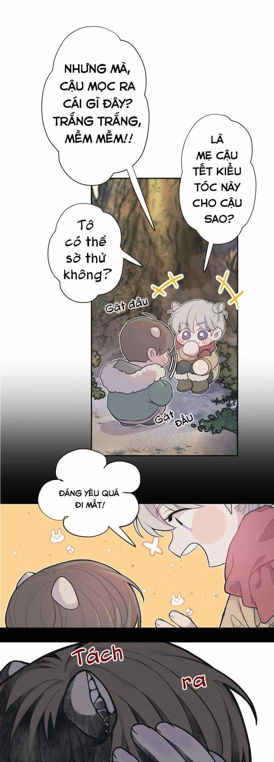 Nhật Ký Nấm Ma Cô - Chương 1 - ảnh 6