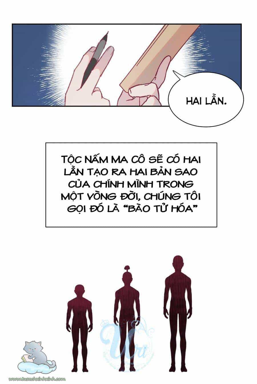 Nhật Ký Nấm Ma Cô - Chương 8 - ảnh 13