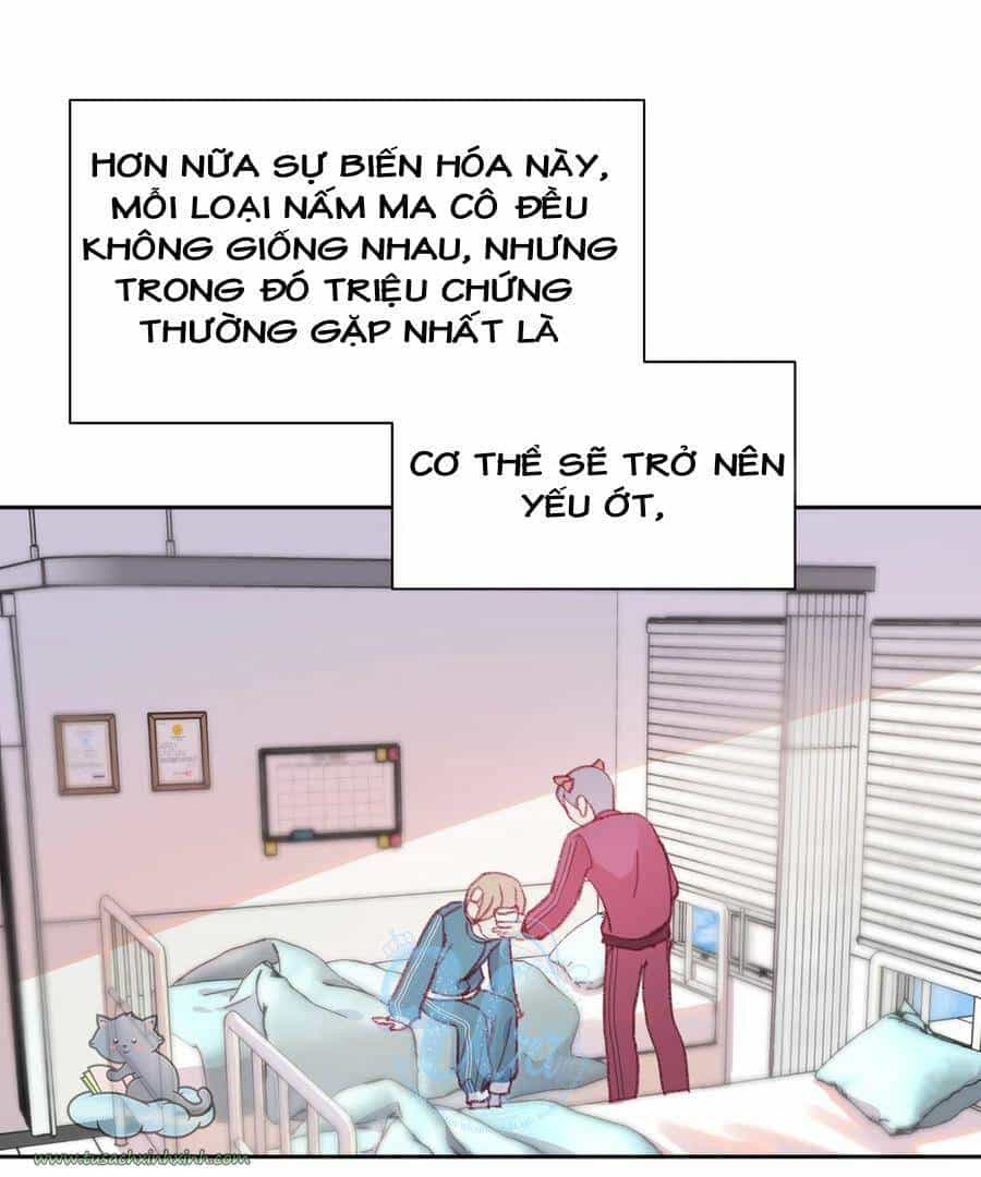 Nhật Ký Nấm Ma Cô - Chương 8 - ảnh 15