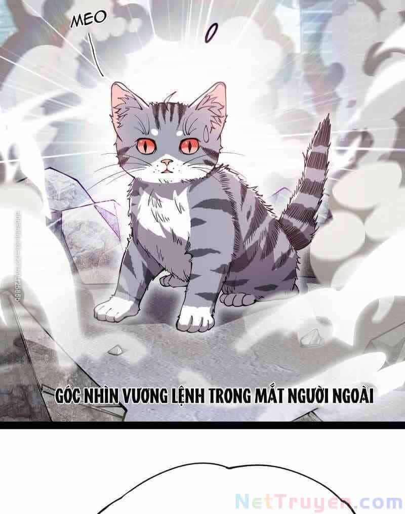 Nhật Ký Thường Ngày Của Tiên Vương - Chương 34 - ảnh 29