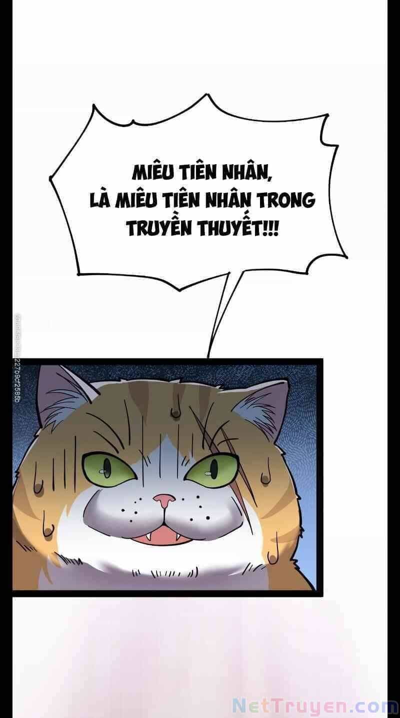 Nhật Ký Thường Ngày Của Tiên Vương - Chương 34 - ảnh 53