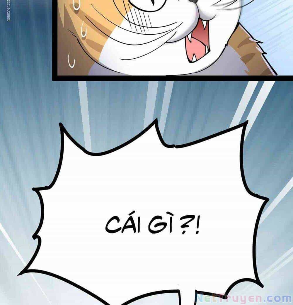 Nhật Ký Thường Ngày Của Tiên Vương - Chương 36 - ảnh 32