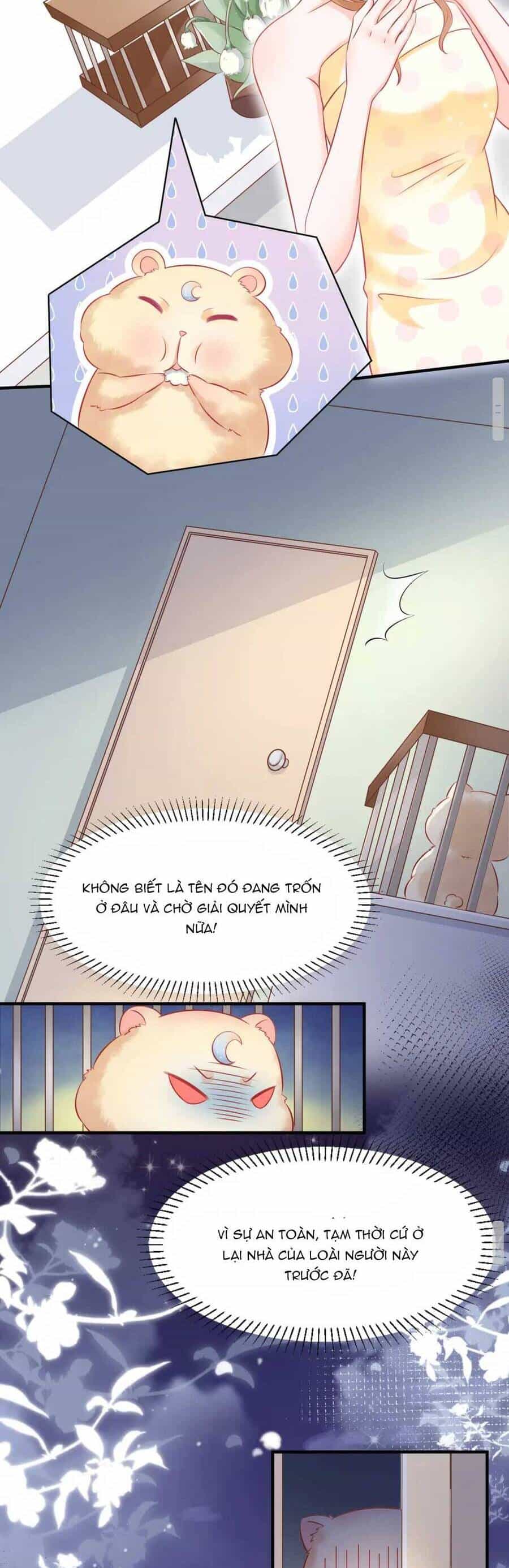 Nhặt Nuôi Hoàng Tử Chuột - Chương 1 - ảnh 21
