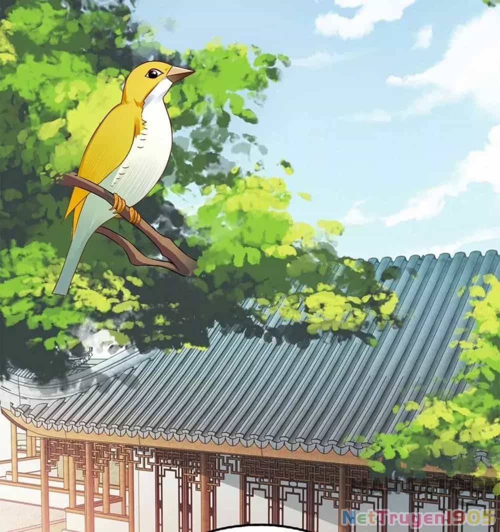 Nhất Phẩm Đích Nữ - Chương 184 - ảnh 2