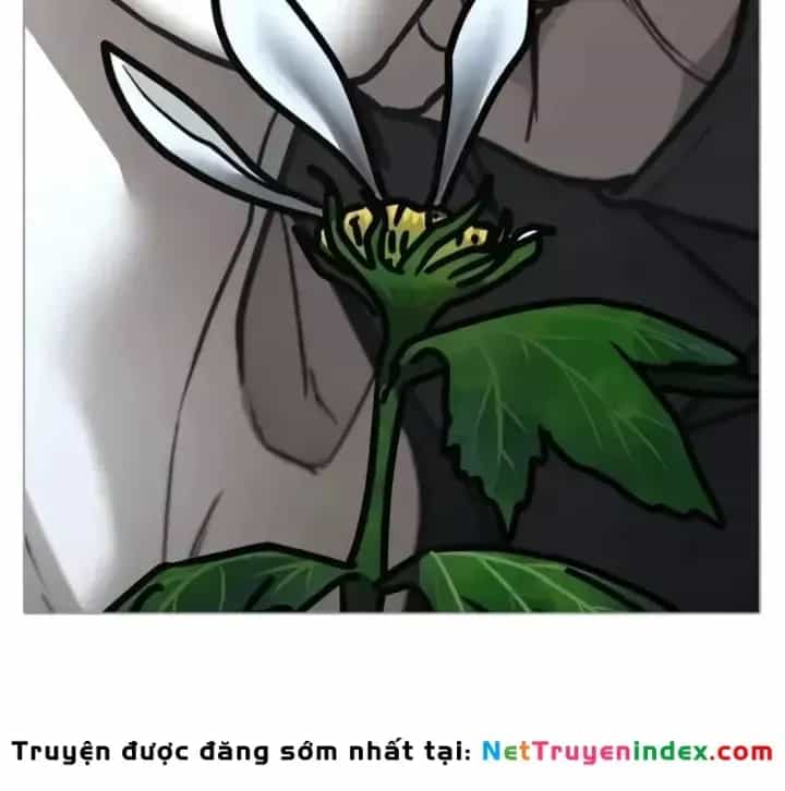 Nhiệm Vụ Đời Thật - Chương 199.5 - ảnh 20