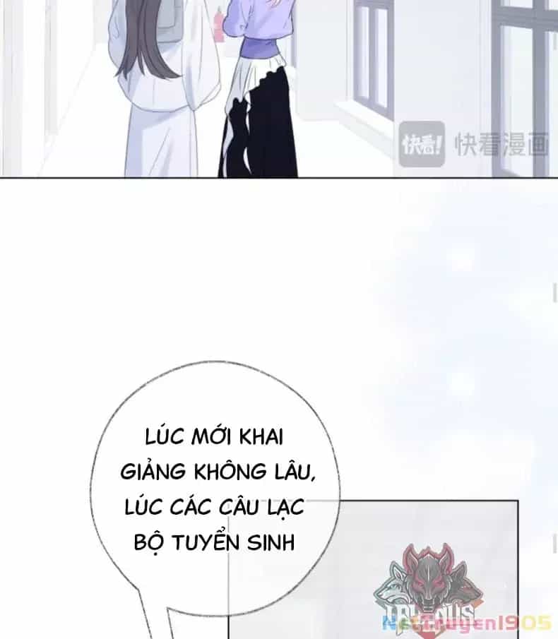 Nhịp Đập Cảm Xúc - Chương 6 - ảnh 37