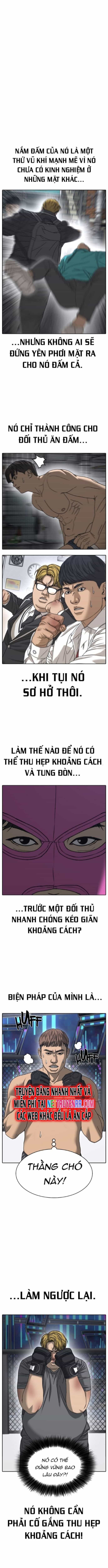 Những Mảnh Đời Tan Vỡ - Chương 74 - ảnh 11