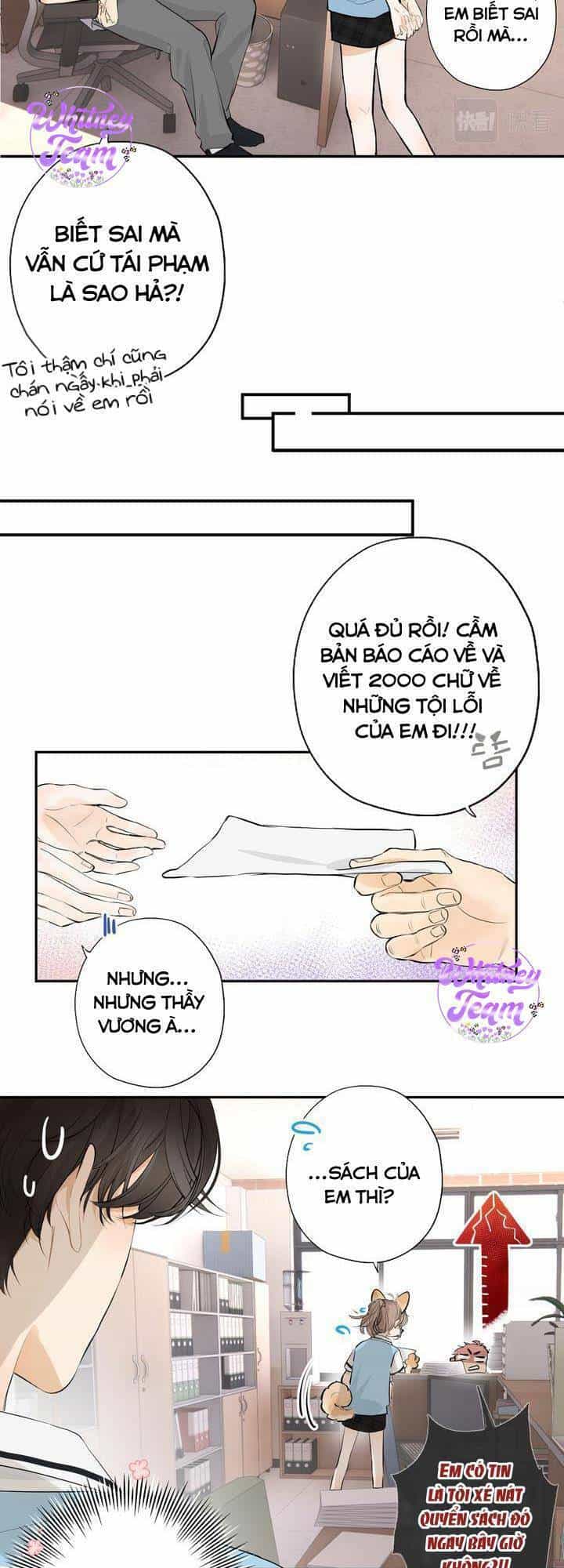 Những Ngày Thanh Xuân Của Tôi - Chương 1 - ảnh 19