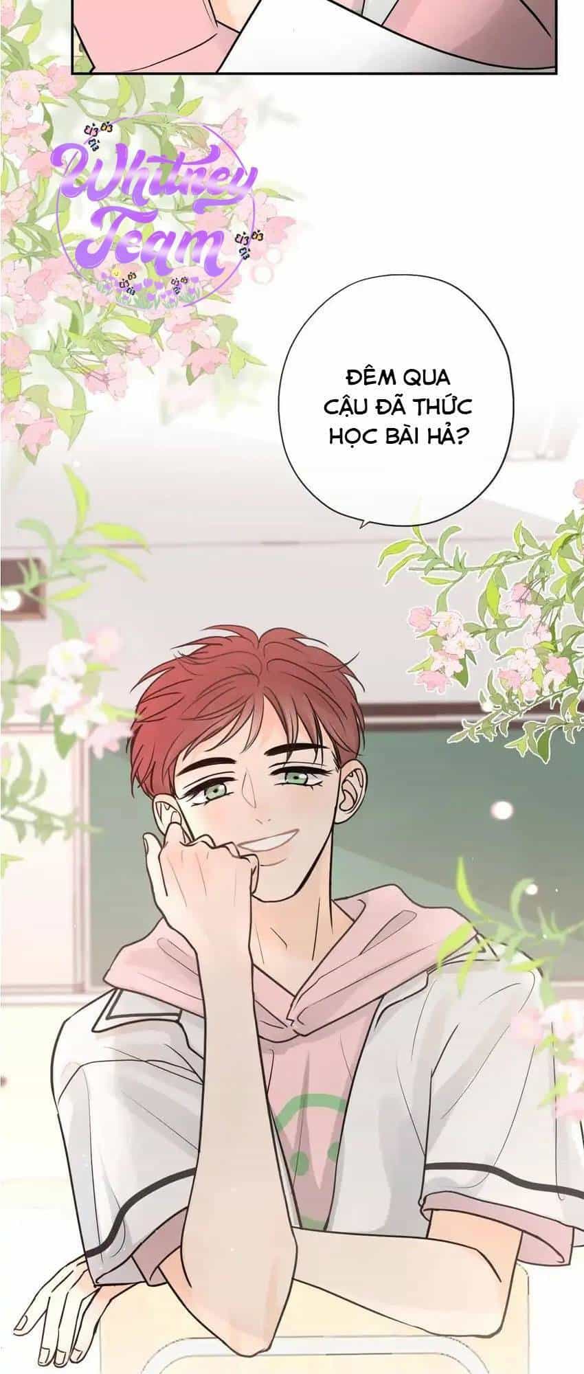 Những Ngày Thanh Xuân Của Tôi - Chương 4 - ảnh 13