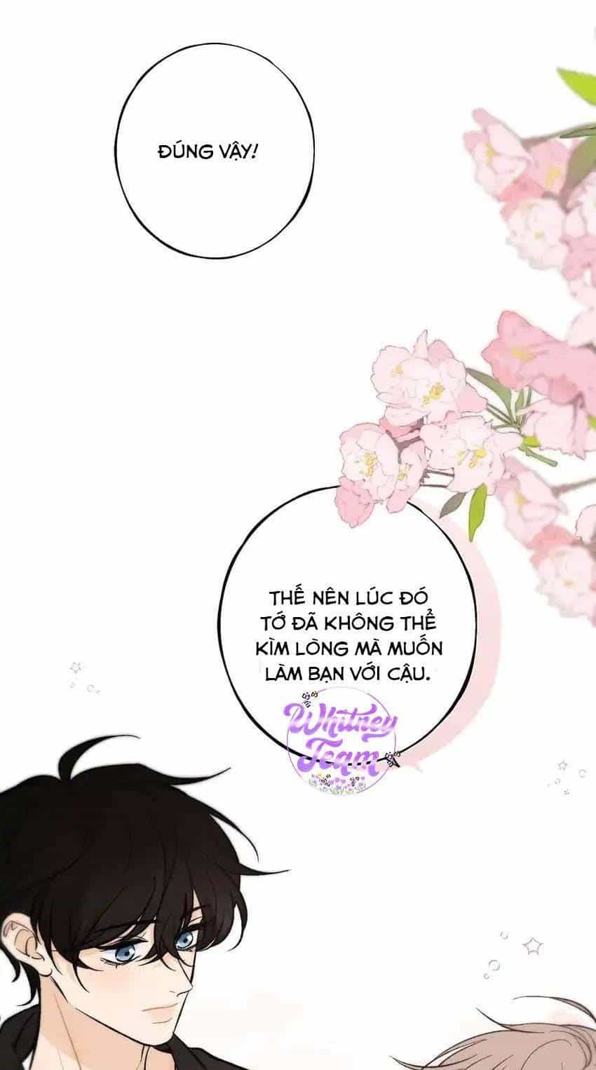 Những Ngày Thanh Xuân Của Tôi - Chương 8 - ảnh 10