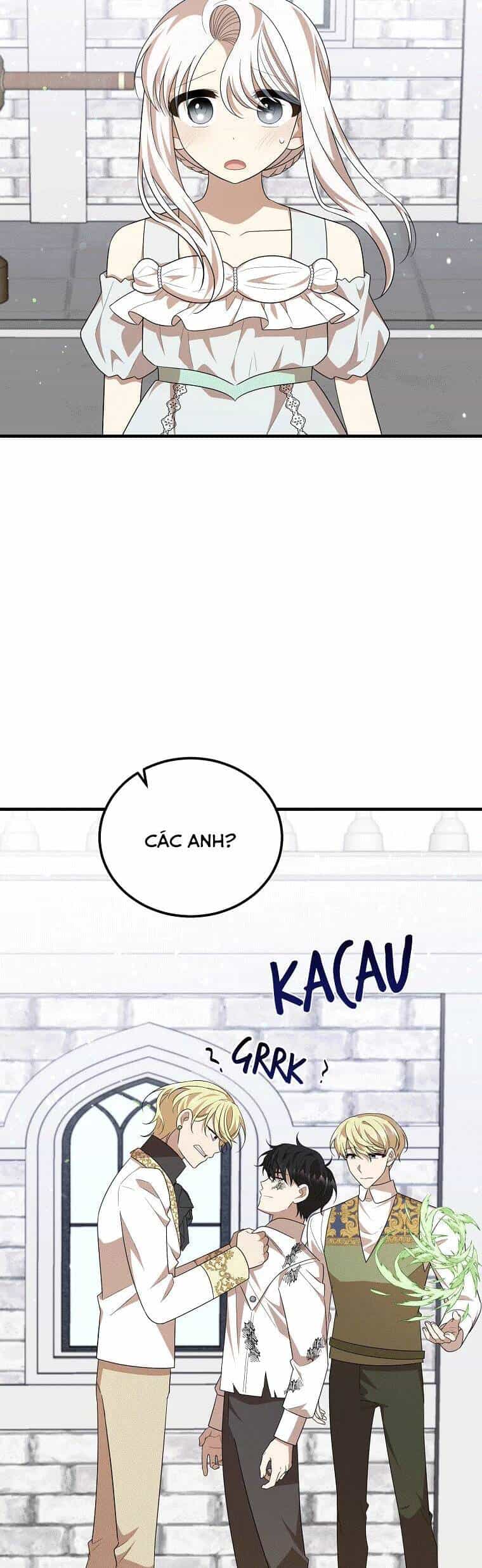 Những Người Anh Nguy Hiểm Của Công Nương - Chương 49 - ảnh 17