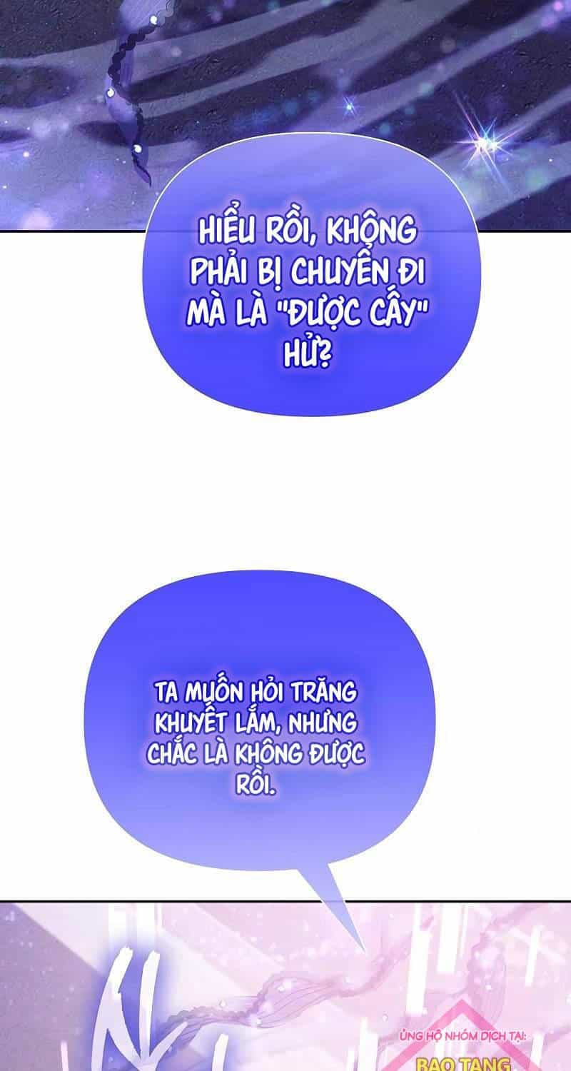 Những Ranker Cấp S Mà Tôi Nuôi Dưỡng - Chương 144 - ảnh 37