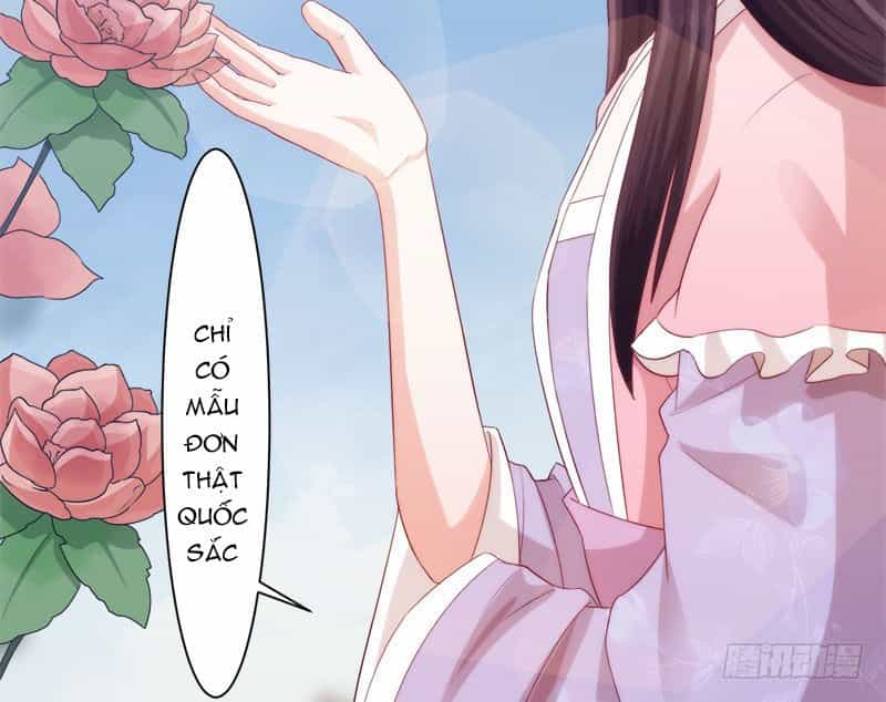 Niết Bàn Chi Phượng Nhan Lâm Ca - Chương 6 - ảnh 38