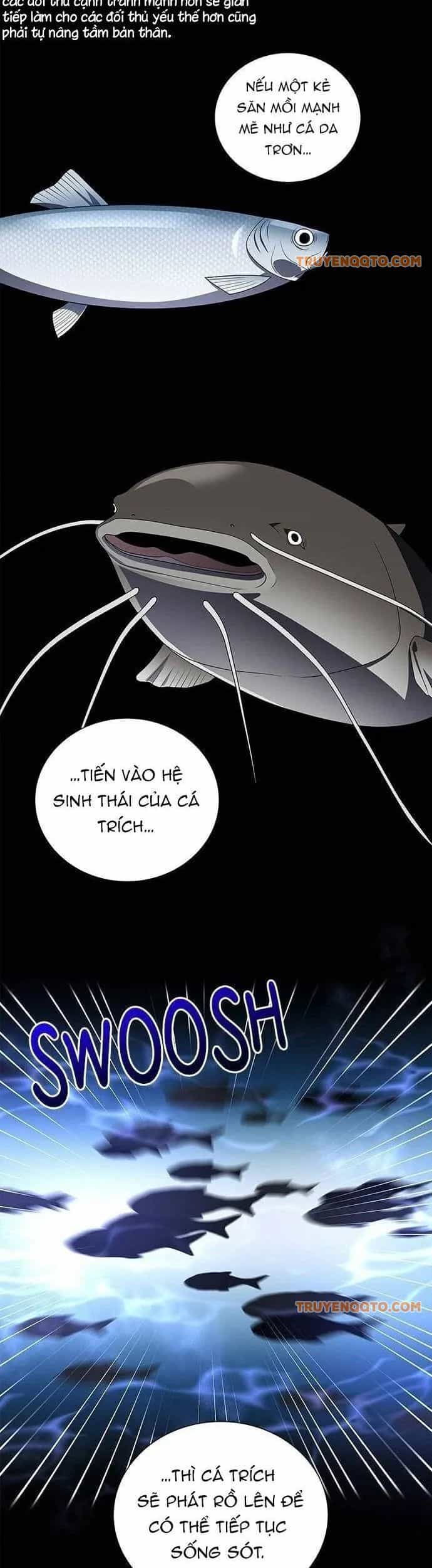 No Scope - Chương 189 - ảnh 3