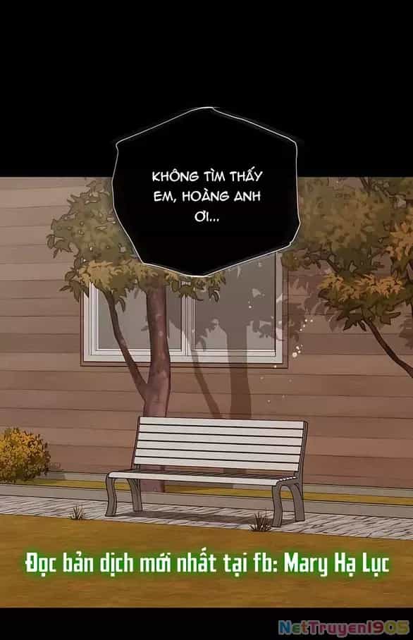 Nóng Lòng Muốn Giày Vò Em - Chương 93.1 - ảnh 37