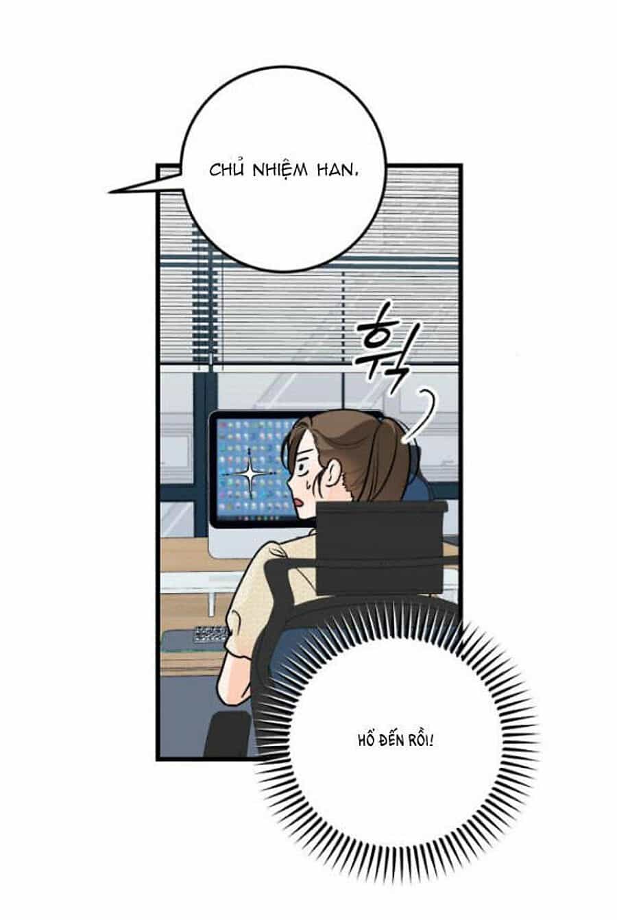 Nóng Lòng Muốn Giày Vò Em - Chương 39 - ảnh 13
