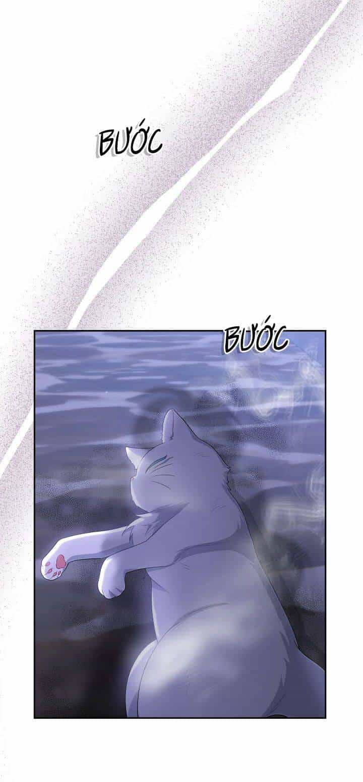 Nữ Chính Bỏ Trốn Ở Nhà Bên - Chương 33 - ảnh 22