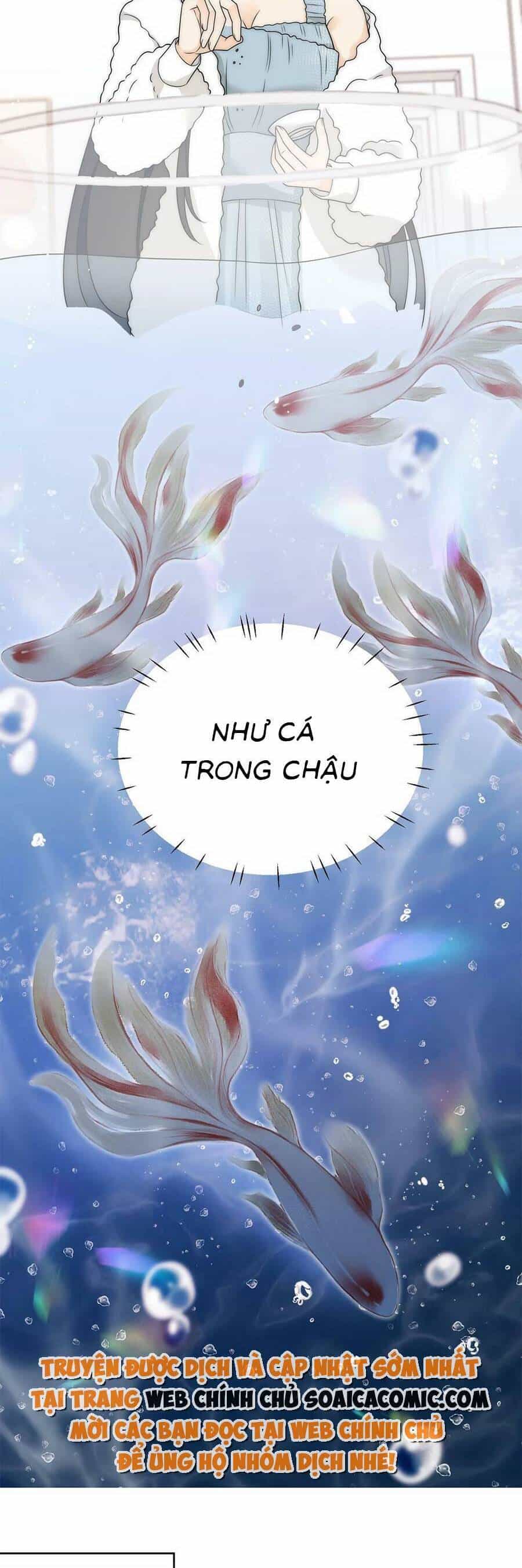 Nữ Chính Hắc Hóa Sau Trọng Sinh - Chương 23 - ảnh 15