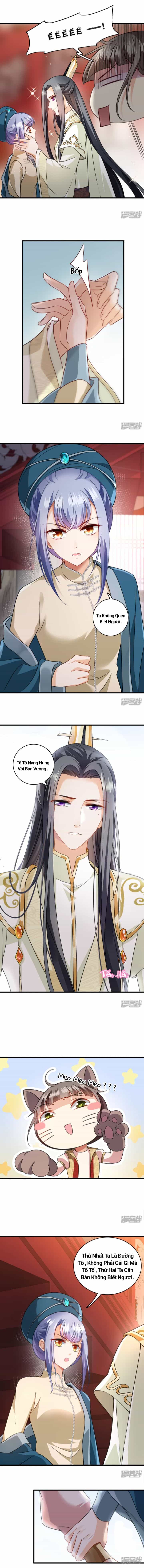 Nụ Cười Của Nàng Ngọt Làm Gãy 8 Cái Răng Của Ta - Chương 8 - ảnh 3