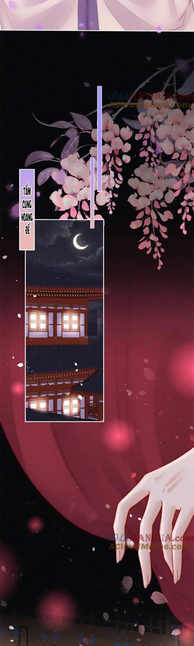 Nữ Đế Và Dàn Hậu Cung Siêu Phẩm - Chương 19 - ảnh 16
