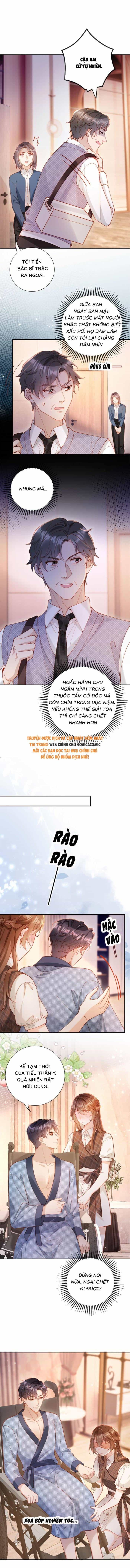 Nụ Hôn Xung Hỉ: Đại Lão Thực Vật Sống Lại Rồi! - Chương 23 - ảnh 8