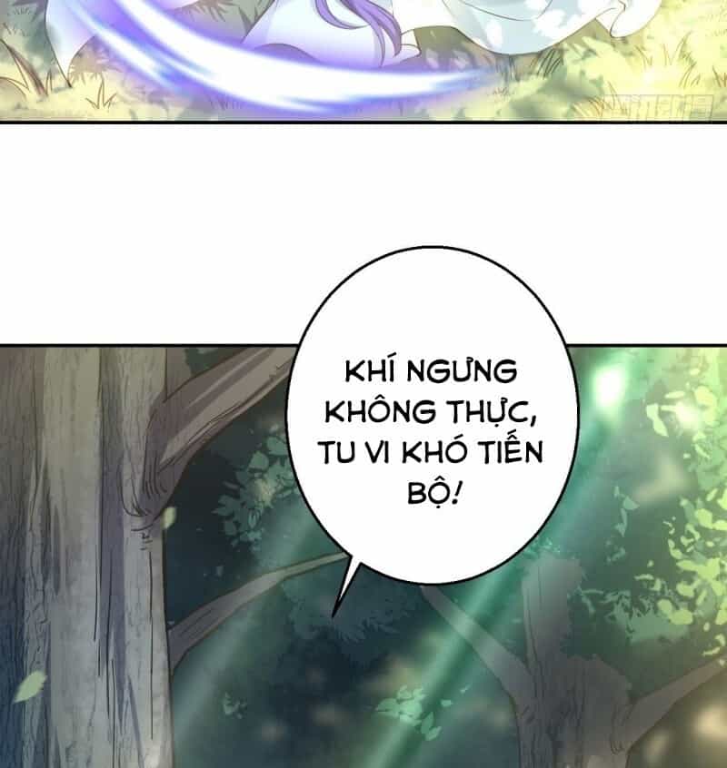 Nữ Tiên Tôn Bận Đào Hôn - Chương 16 - ảnh 9