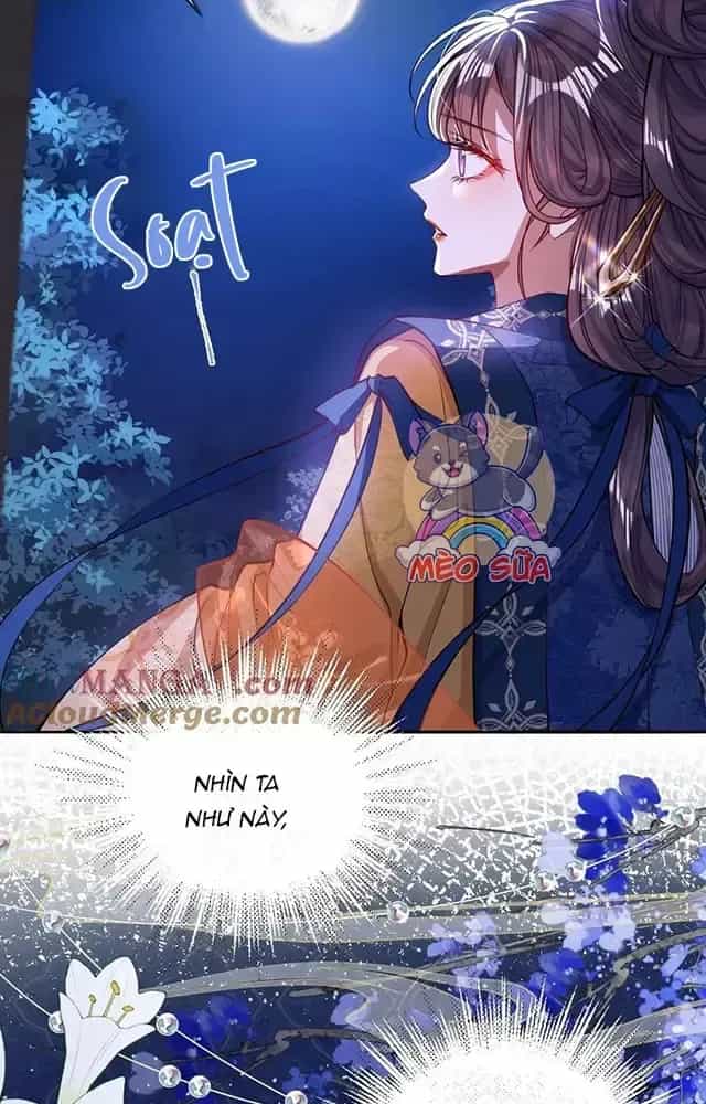 Nuông Chiều Mỹ Nhân Cuồng Nhiệt - Chương 15 - ảnh 26