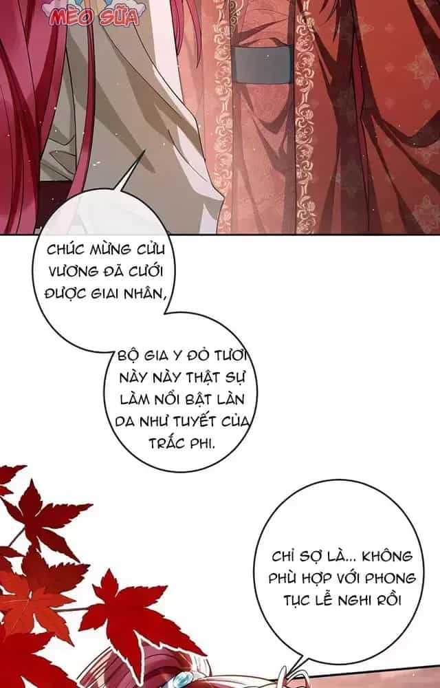 Nuông Chiều Mỹ Nhân Cuồng Nhiệt - Chương 16 - ảnh 14