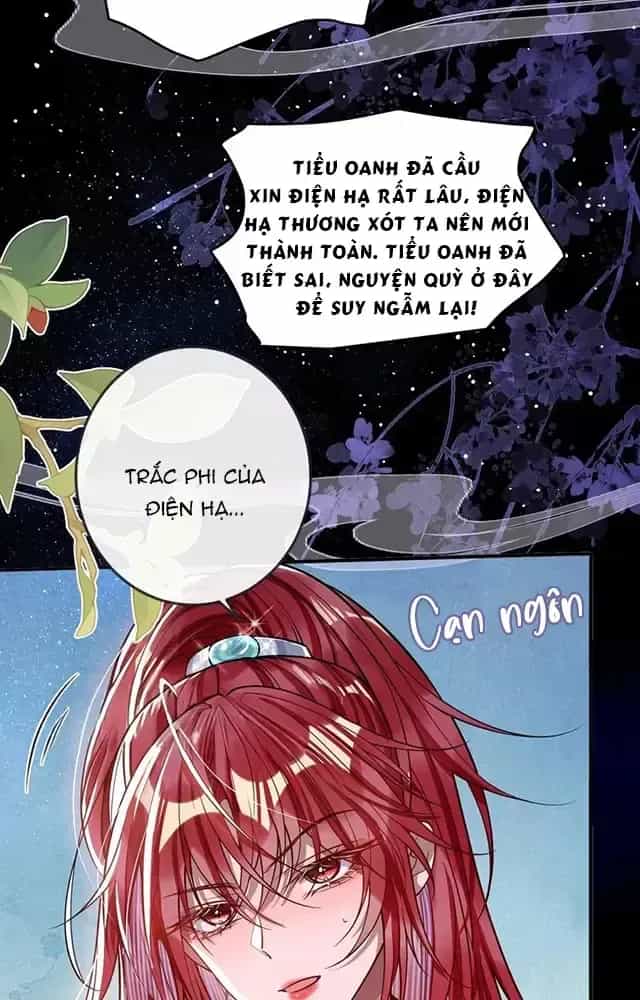 Nuông Chiều Mỹ Nhân Cuồng Nhiệt - Chương 16 - ảnh 34