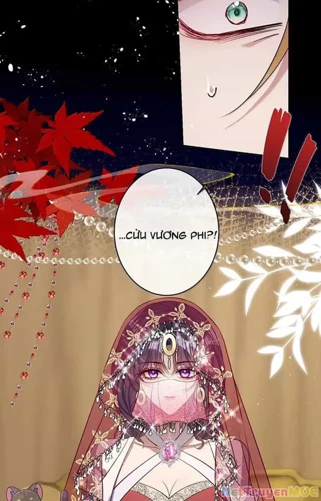 Nuông Chiều Mỹ Nhân Cuồng Nhiệt - Chương 54 - ảnh 16