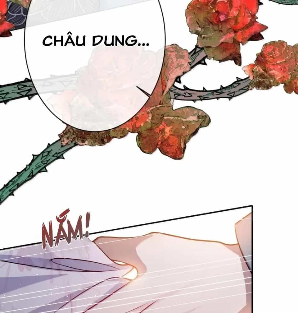 Nuông Chiều Mỹ Nhân Cuồng Nhiệt - Chương 63 - ảnh 12